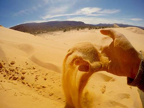 dunes Desert