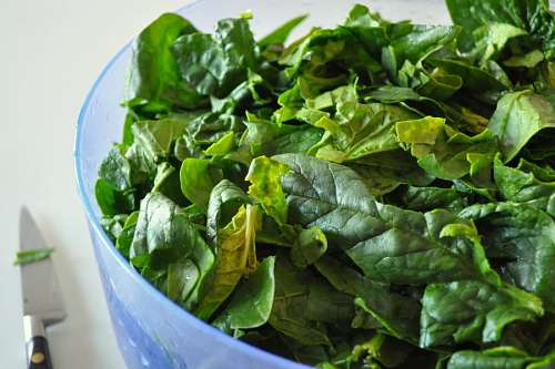 salad bowl, interior, green spinach, healthy, ligh