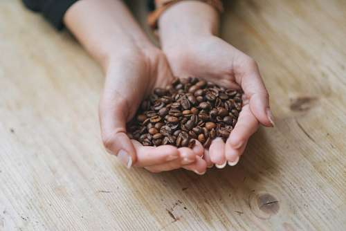 Coffee