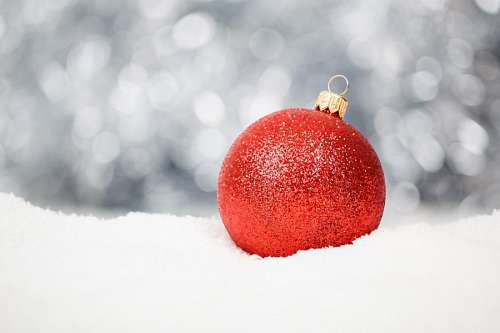 ornamental-gate Christmas
