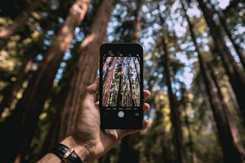 thom Taking a photo with phone in the forest