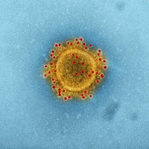 microscope Flu Virus 
