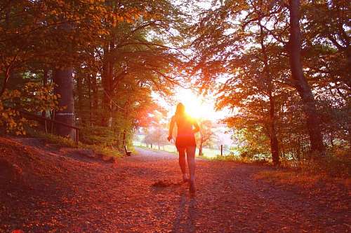 woman running towards the sun in the middle of a forest