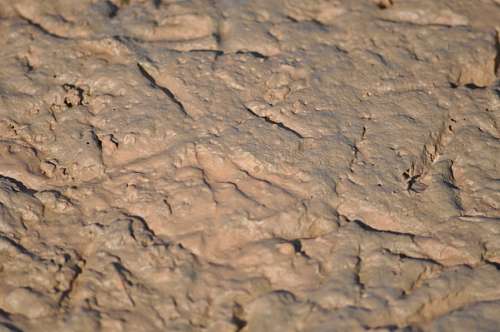 drought Texture, Textures, earth, dry, brittle, cracked, A
