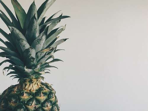 Pineapple
