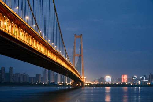 Bridge in New York lit up at night
