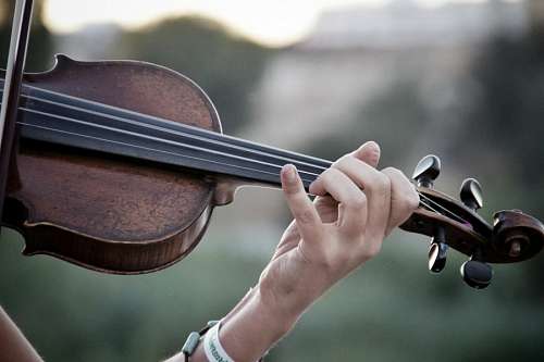violin Violin
