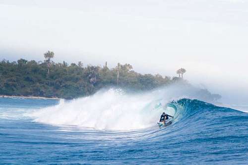 bishop Surf