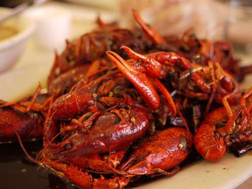 crust shrimps