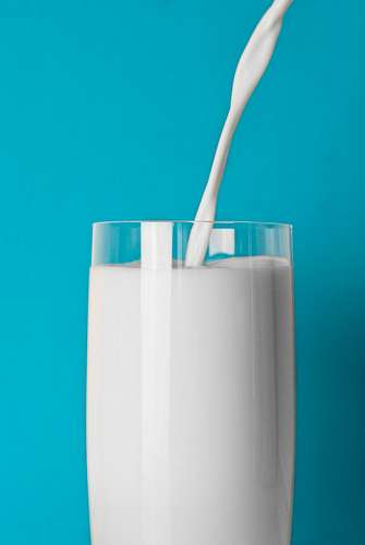 Glass of Milk