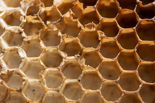 Honeycomb Texture for Background