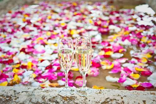 alone Toast full of petals