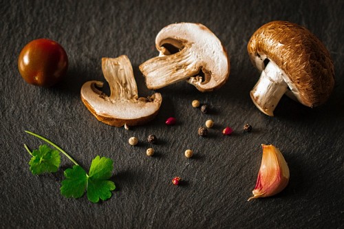 visual Mushrooms
