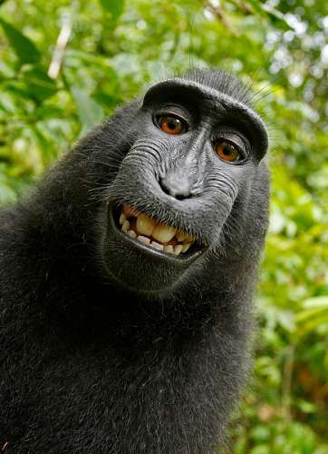 selfie selfie