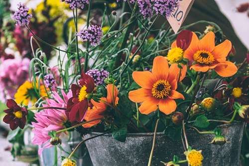 florist flowers
