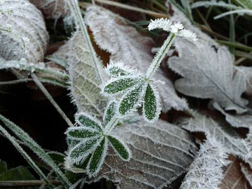 Winter scene