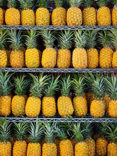 Fresh Pineapple