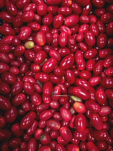 Cherry tomatoes