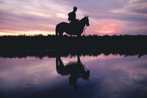 grassland Man riding at sunset in front of a river in the field
