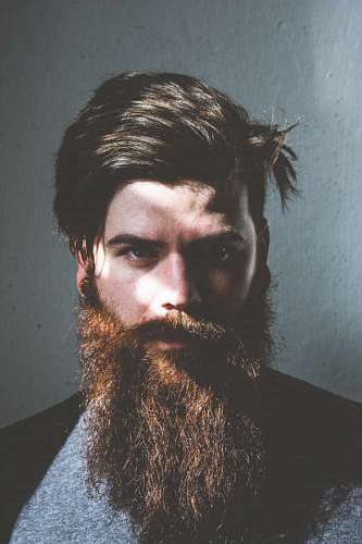 Portrait of a young man with a beard looking at the camera