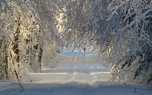 Snow background