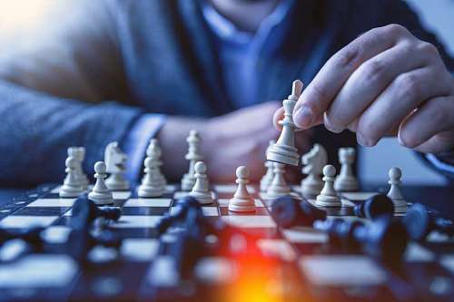 king-of-the-jungle Man playing chess
