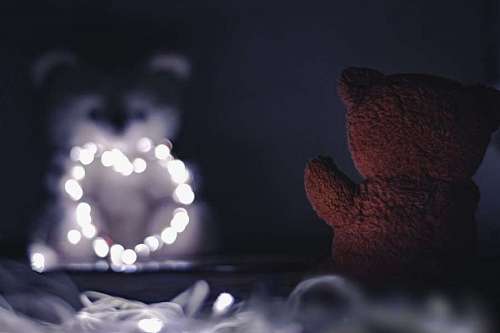 teddy-bear Teddy bears