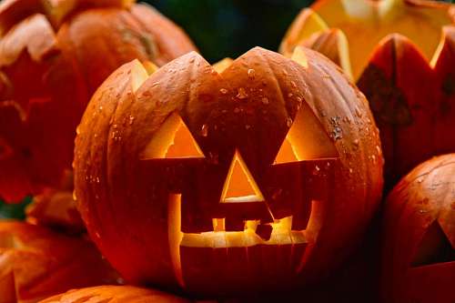 Halloween Pumpkin 