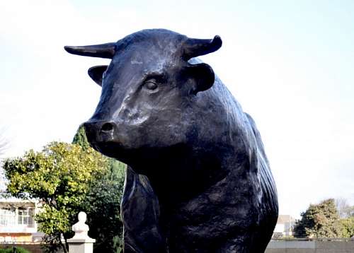 bull-terrier bull statue, iron, Osorno, Chile, day, animal, squ
