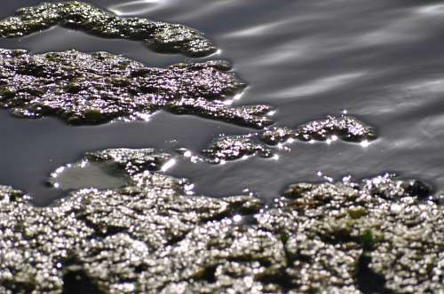 Texture, Textures, Water Reflection Lake 