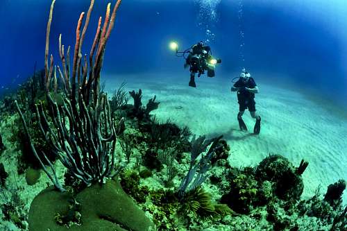 diving-into-water Two people taking photos at the bottom of the sea