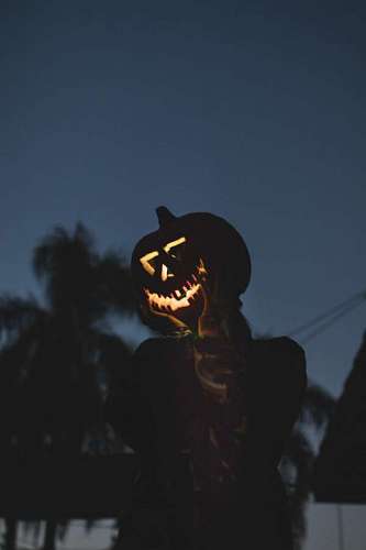 Halloween Pumpkin 