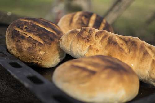 flour Country bread