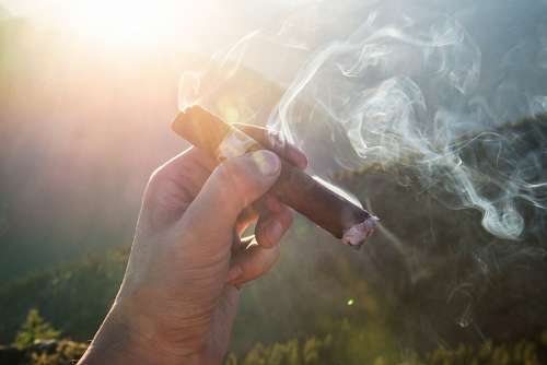 cuban-culture cigar