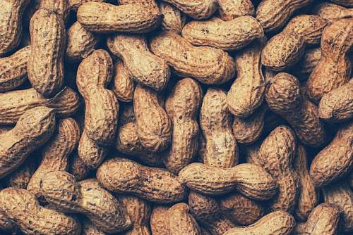 peanut peanuts