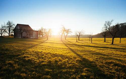 Farm