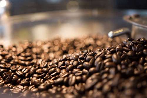 flavorful Toasted coffee beans