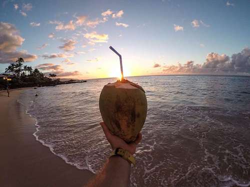 bishop coconut