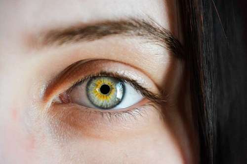 eyelash close-up of a beautiful gray eye with gold