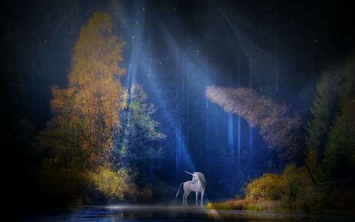 images-of-pretty-unicorns Tender unicorn wallpaper
