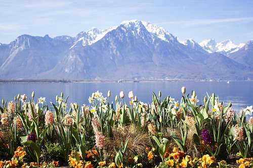switzerland Montreux, Switzerland
