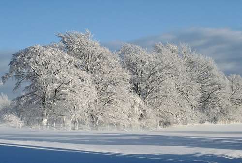 low Winter Landscape