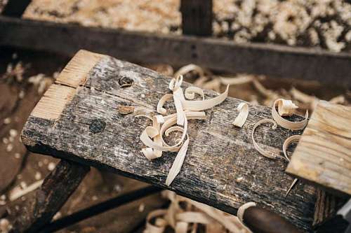 mold Carving wood