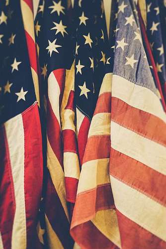 USA Flags  