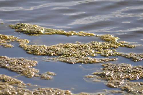 Texture, Textures, Water Reflection Lake 