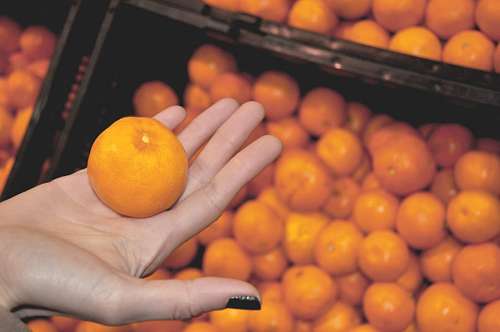 Woman hand holding an orange