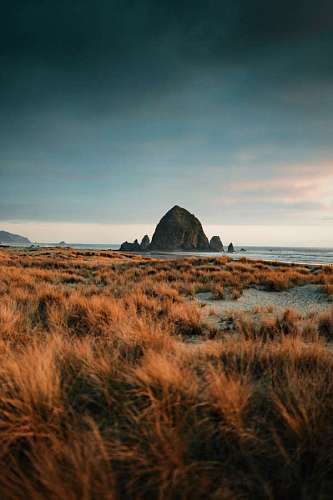 beautiful beach landscape with a small mountain