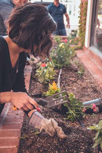 woman fixing her garden