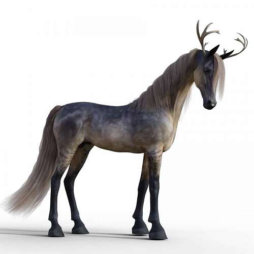 Mythology of the unicorn