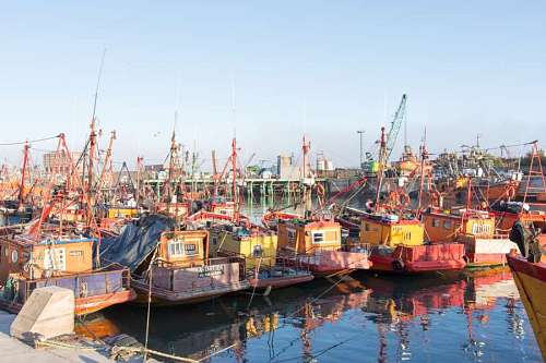 Boats parked in the Port of Mar del Plata, Argentina
